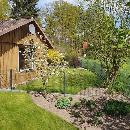 Studioferienhaus Herzogstadt-เซลเลอ ภายนอก รูปภาพ