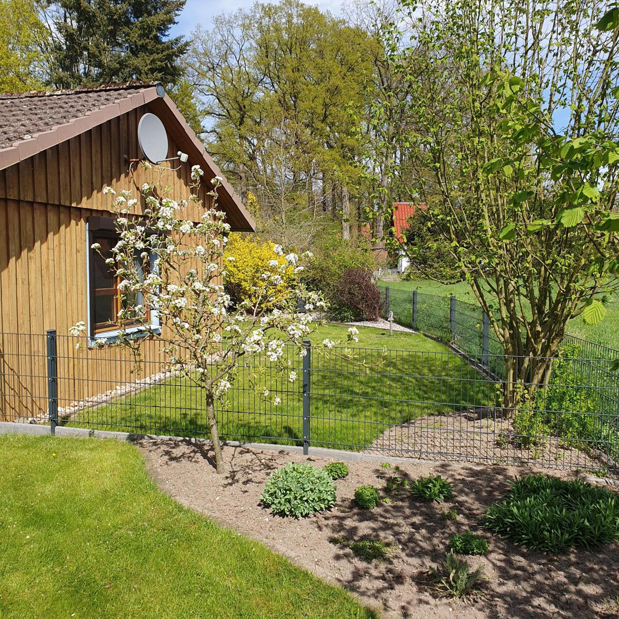 Studioferienhaus Herzogstadt-เซลเลอ ภายนอก รูปภาพ