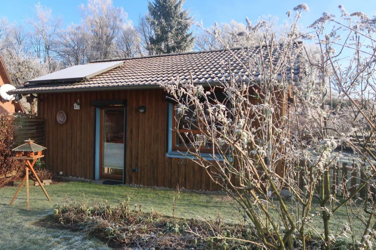 Studioferienhaus Herzogstadt-เซลเลอ ภายนอก รูปภาพ